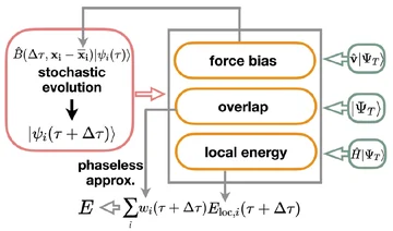 Phaseless AFQMC workflow showing stochastic evolution, force bias, overlap and local energy.