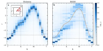 Momentum-resolved spectral functions of two-dimensional Holstein and BSSH polarons.